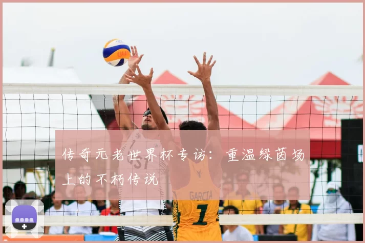 传奇元老世界杯专访：重温绿茵场上的不朽传说