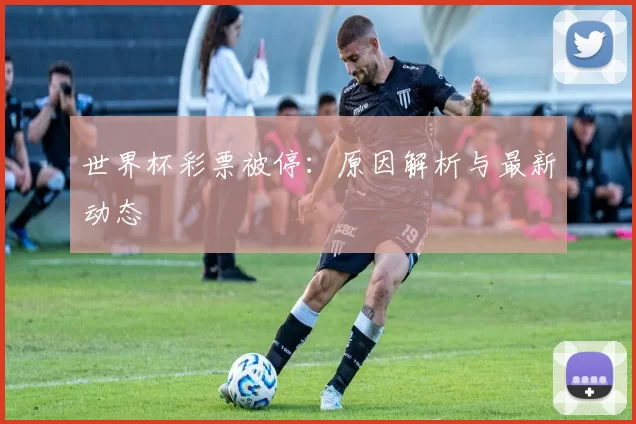 世界杯彩票被停:原因解析与最新动态