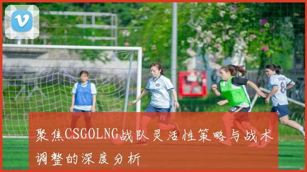 聚焦CSGOLNG战队灵活性策略与战术调整的深度分析