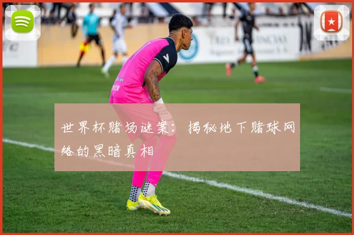 世界杯赌场谜案：揭秘地下赌球网络的黑暗真相