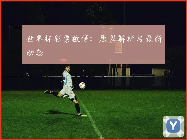 世界杯彩票被停:原因解析与最新动态