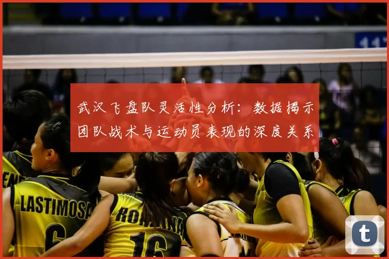 武汉飞盘队灵活性分析：数据揭示团队战术与运动员表现的深度关系