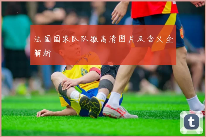 法国国家队队徽高清图片及含义全解析