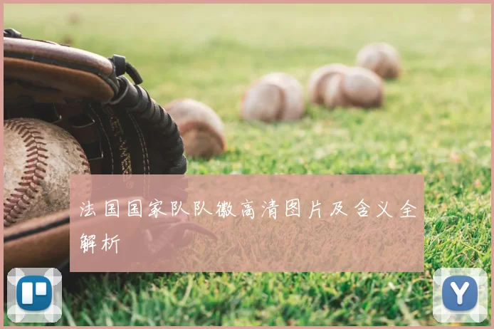 法国国家队队徽高清图片及含义全解析