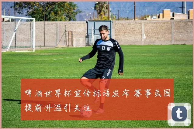 啤酒世界杯宣传标语发布 赛事氛围提前升温引关注