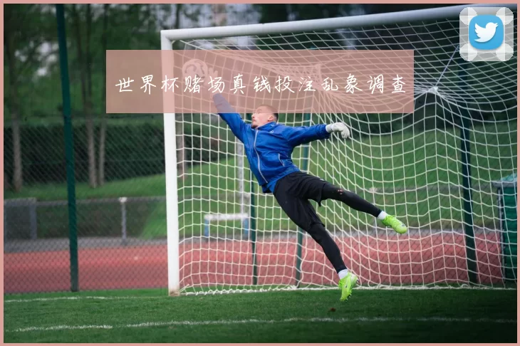 世界杯赌场真钱投注乱象调查