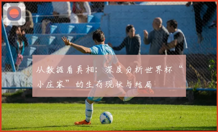 从数据看真相:深度分析世界杯“小庄家”的生存现状与结局