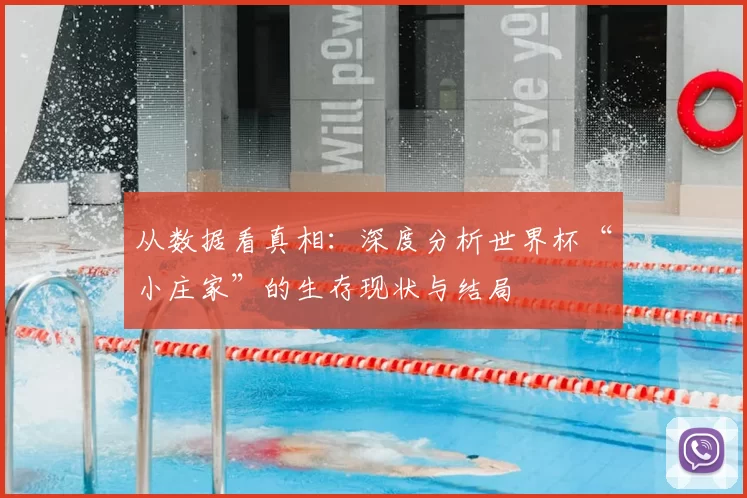 从数据看真相：深度分析世界杯“小庄家”的生存现状与结局