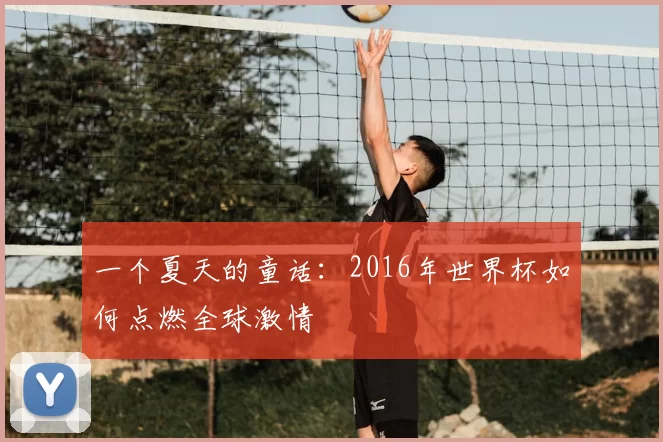 一个夏天的童话：2016年世界杯如何点燃全球激情