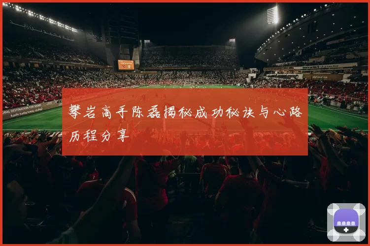 攀岩高手陈磊揭秘成功秘诀与心路历程分享
